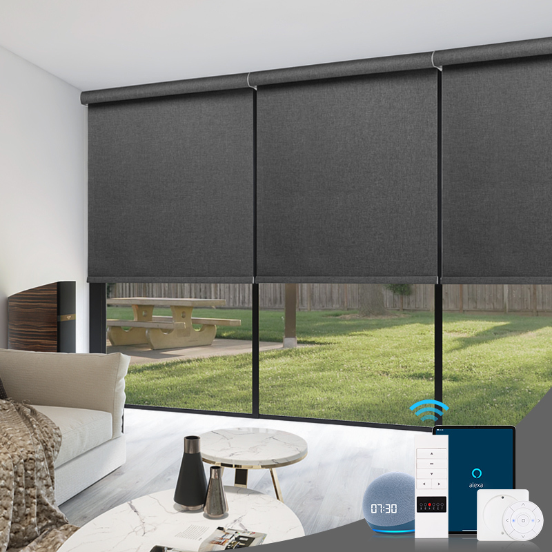 ZSTARR High Quality Villa Project Cordless Blackout Roller Window Blinds Smart Motorized Electric Blackout Roller Shades Blinds · image 1