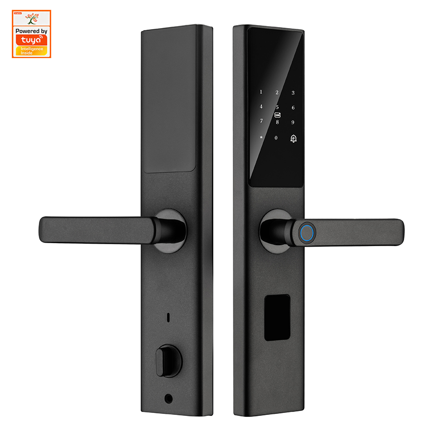 TYSH Biometric Fingerprint Smart Lock with Digital Keypad Push Pull Feature WiFi Memory Card Smart Life App Access for Wood Door · image 1