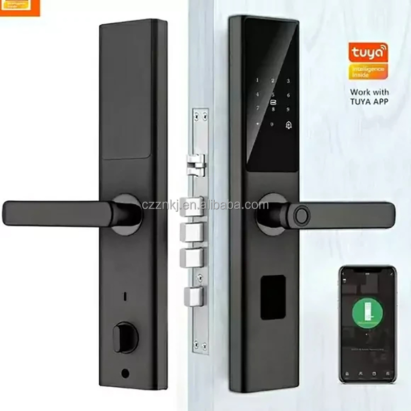 Chenzhuo Z13V Smart Fingerprint Door Lock Aluminum Alloy WiFi Tuya App Memory Card Wood/Aluminum/Steel Door Office High Security · image 1