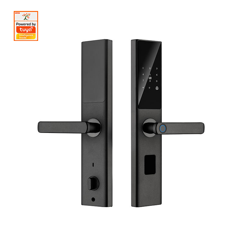 TYSH S002 WiFi Smart Door Lock with Fingerprint Password IC Card Key & Tuya App Unlock for Steel Door · image 1